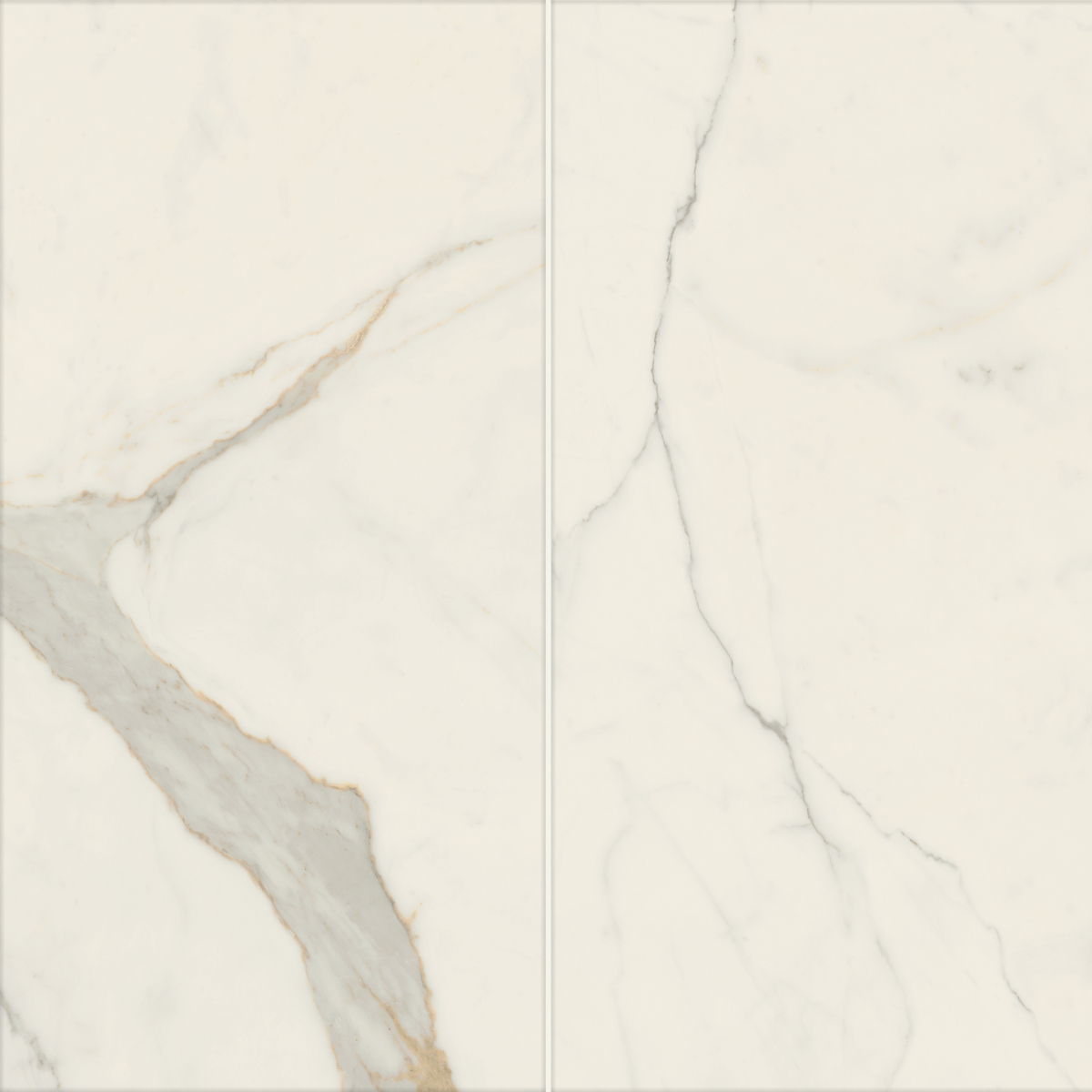 Dalia Statuario Extra Smooth | 60x120cm